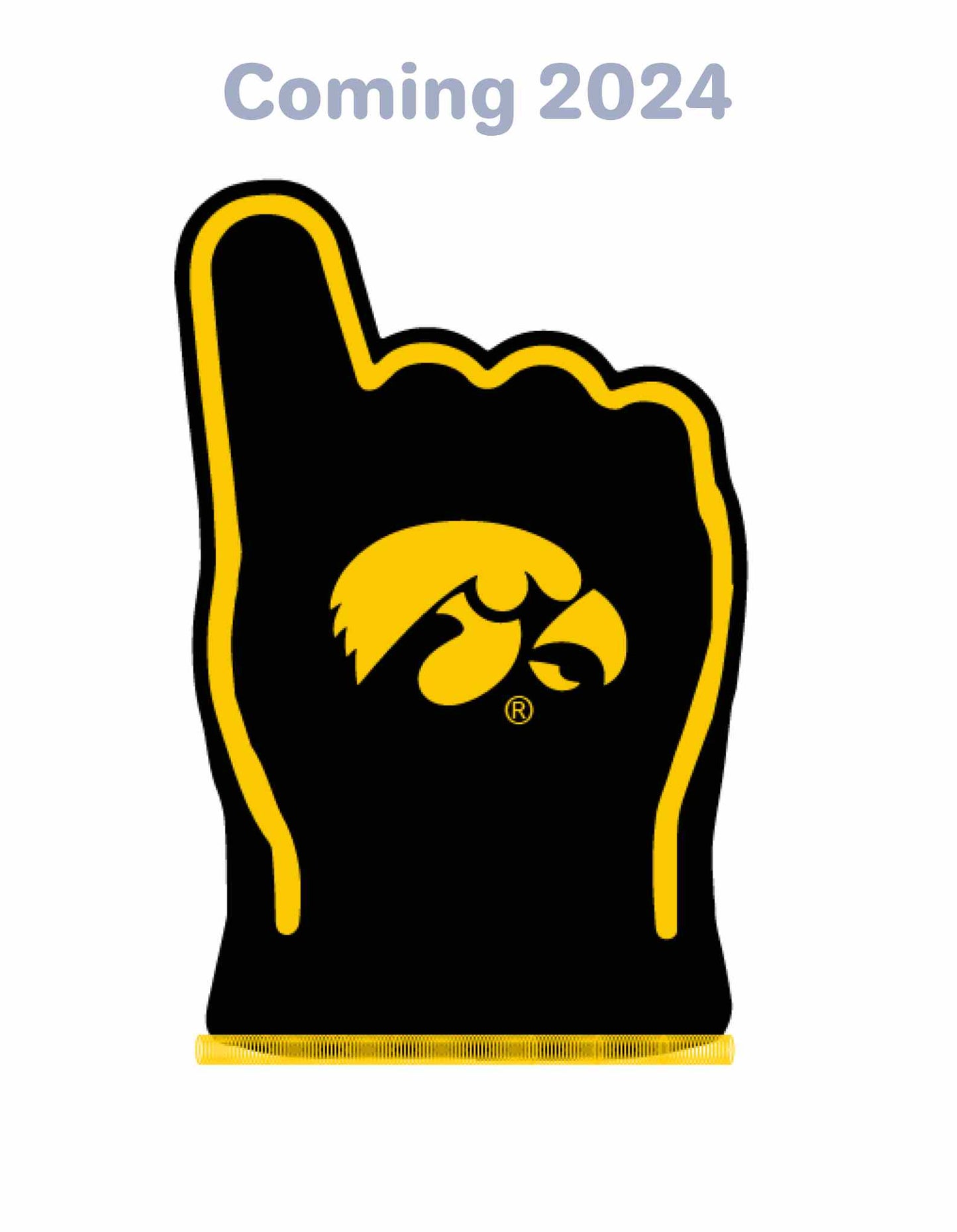 Iowa Let’s go Hawks! FanMitts™